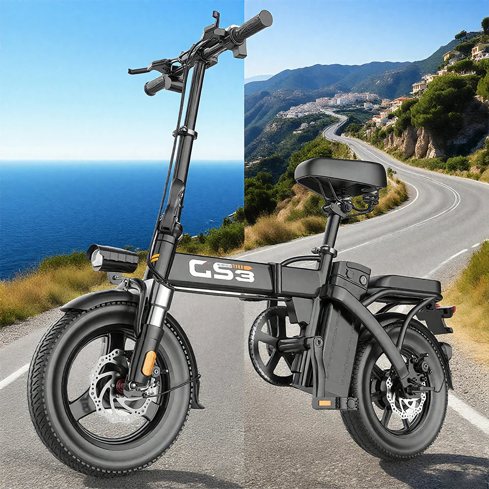 GS3 E-Bike 48V 15AH 500W Motor,20KM/H Max Speed Motorcycle Style E-bike