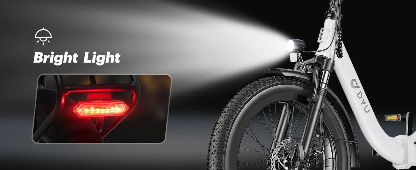 E-Bicycle Peak 1000W Motor 48V15.6AH Lithium Battery Hdraulic Brake 20*3.0 Inch Fat Tire