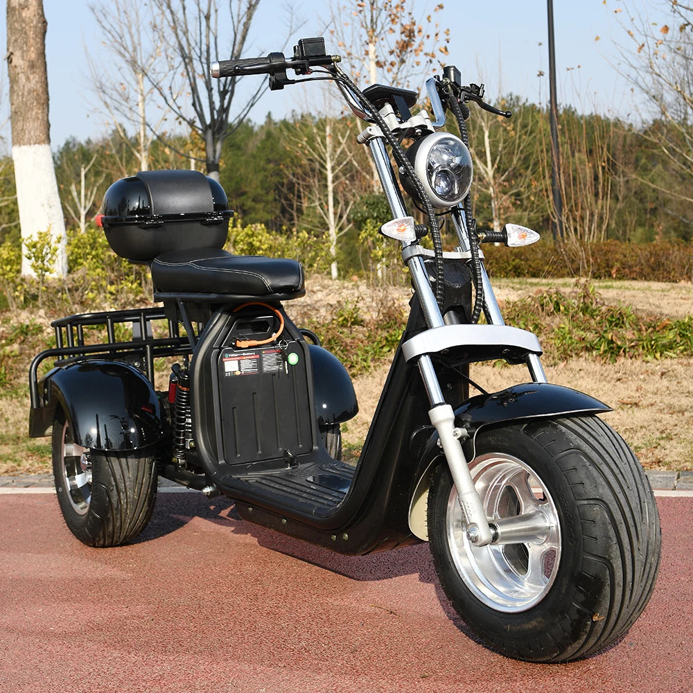 3 Wheel Three Speed Regulation Charge Power Mobility Scooter 3000W Off Road,Tricycle Adult