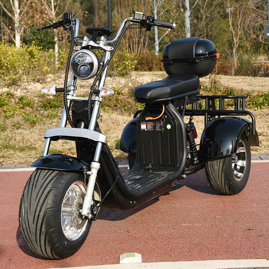 3 Wheel Three Speed Regulation Charge Power Mobility Scooter 3000W Off Road,Tricycle Adult