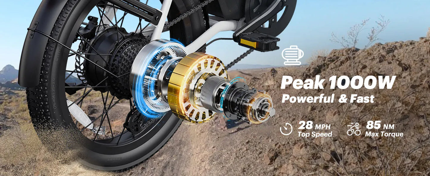 E-Bicycle Peak 1000W Motor 48V15.6AH Lithium Battery Hdraulic Brake 20*3.0 Inch Fat Tire