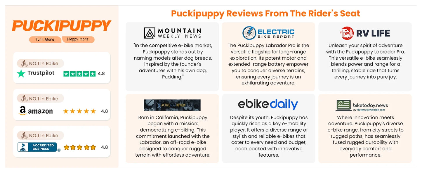 Boxer-ST E-Bike 960W 48V 20AH  26" x 4" Fat Tire Full Suspension Ebike with 2-Year Warranty