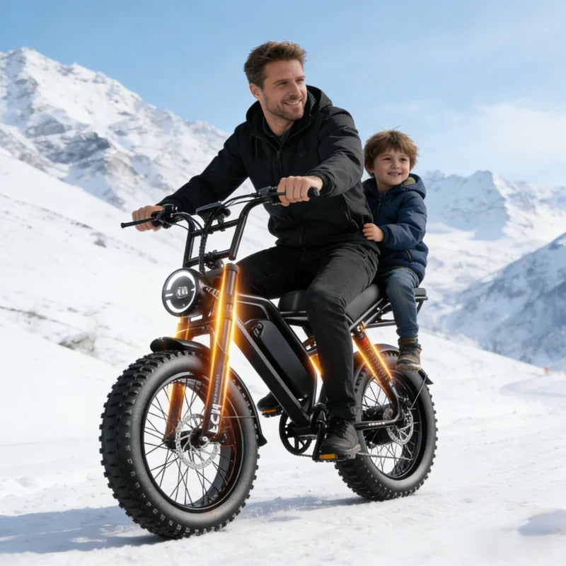 low cost 14-20 inch E-fat bike 1000w 2000w 30-50MPH 30-60Miles Adjustable front brake,seat