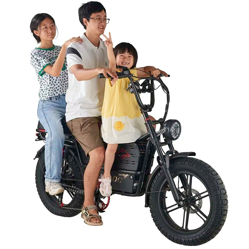 20 inches electric mountain bike 2000W brushless motor 48V 60Ah ebike dual suspension off road tyre