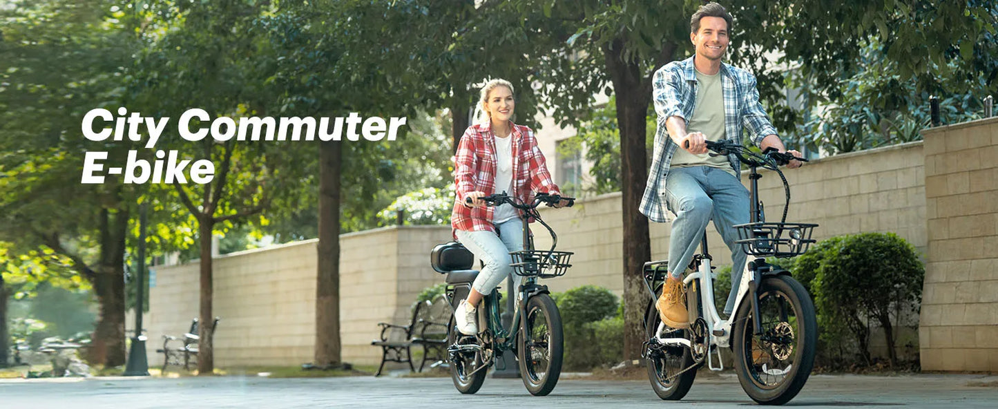 E-Bicycle Peak 1000W Motor 48V15.6AH Lithium Battery Hdraulic Brake 20*3.0 Inch Fat Tire