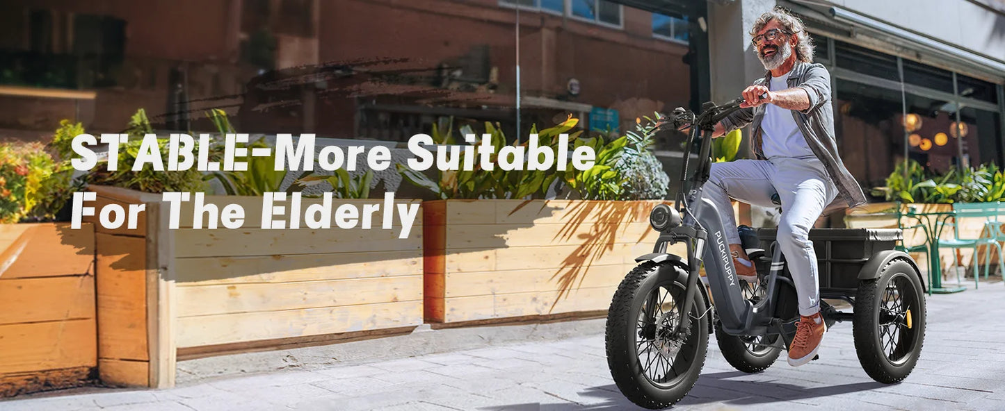 Husky Electric Trike, Adult 960W Peak Motor 60 Miles Range, 500 Lbs Load E-Trike 2-Year Warranty