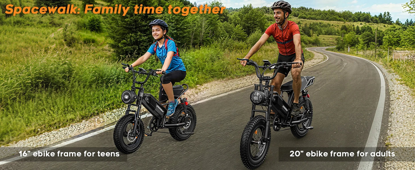 Mountain E-Bike , 20" Fat Tire Wider Seat 750W Peak Motor, Removable Battery, 4X Suspension