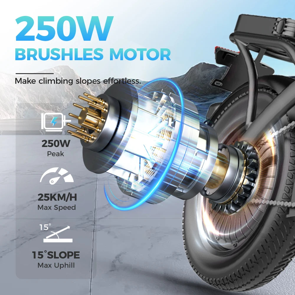 GS3 E-Bike 48V 15AH 500W Motor,20KM/H Max Speed Motorcycle Style E-bike