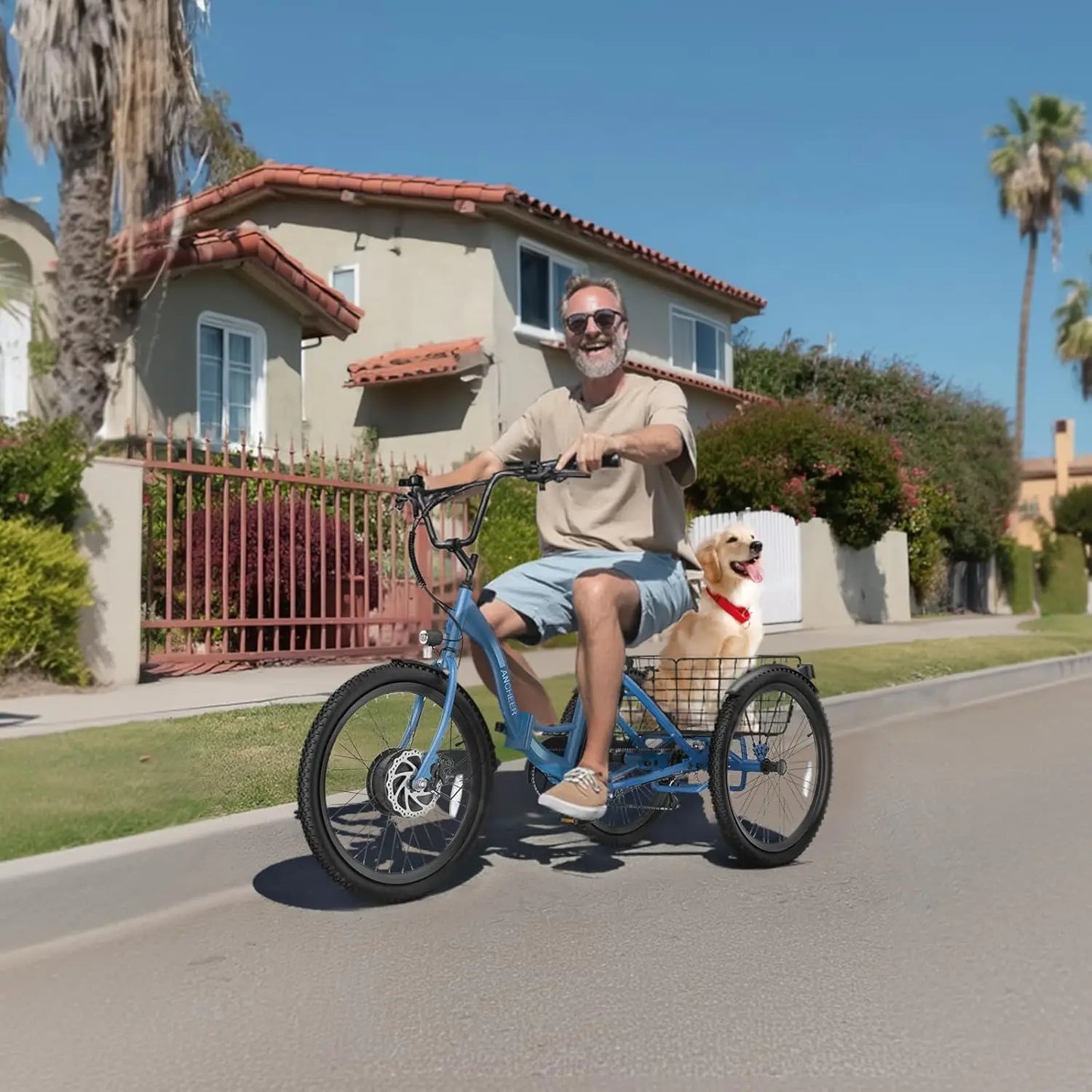 E-Tricycle, Adults, Peak 600W Folding, 24" 499Wh Ebike for Seniors, 15.5MPH Electric Bike