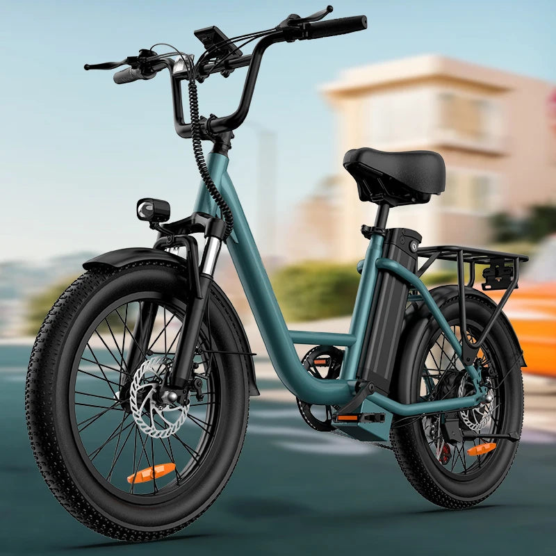 745W 20x3" Fat Tire Electric Bike 48V 13Ah Removable Battery 20MPH 7-Speed Gears Dual Disc Brakes