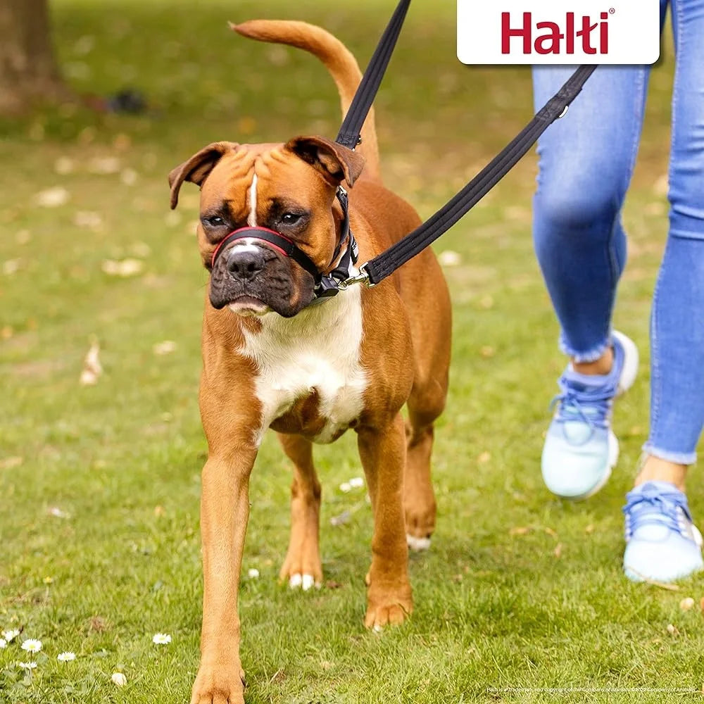 Headcollar Dogs No Pull Adjustable Reflective Lightweight Padded Nose Band Safe Training Tool Leash