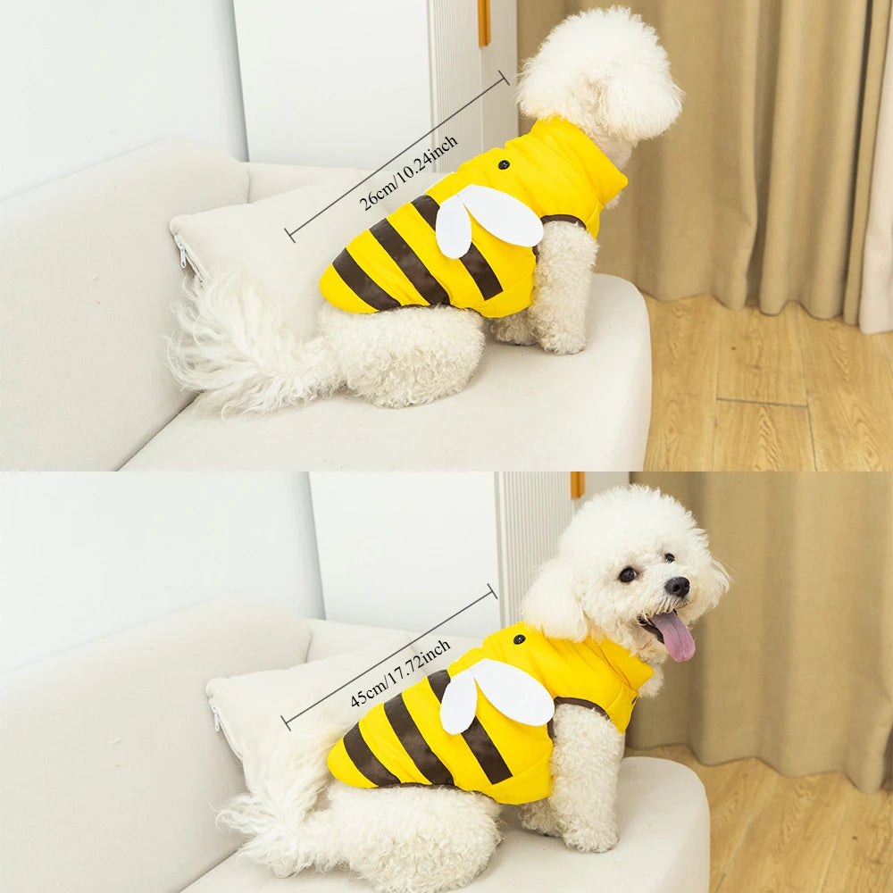 Dog clothes cat clothes bee four seasons warm pet waterproof clothes