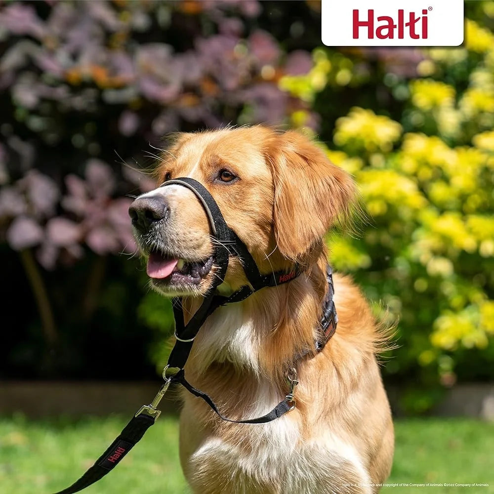 Headcollar Size 3 Dog Leash Large Pack No Pull Training Control Reflective Safety Nylon Comfort