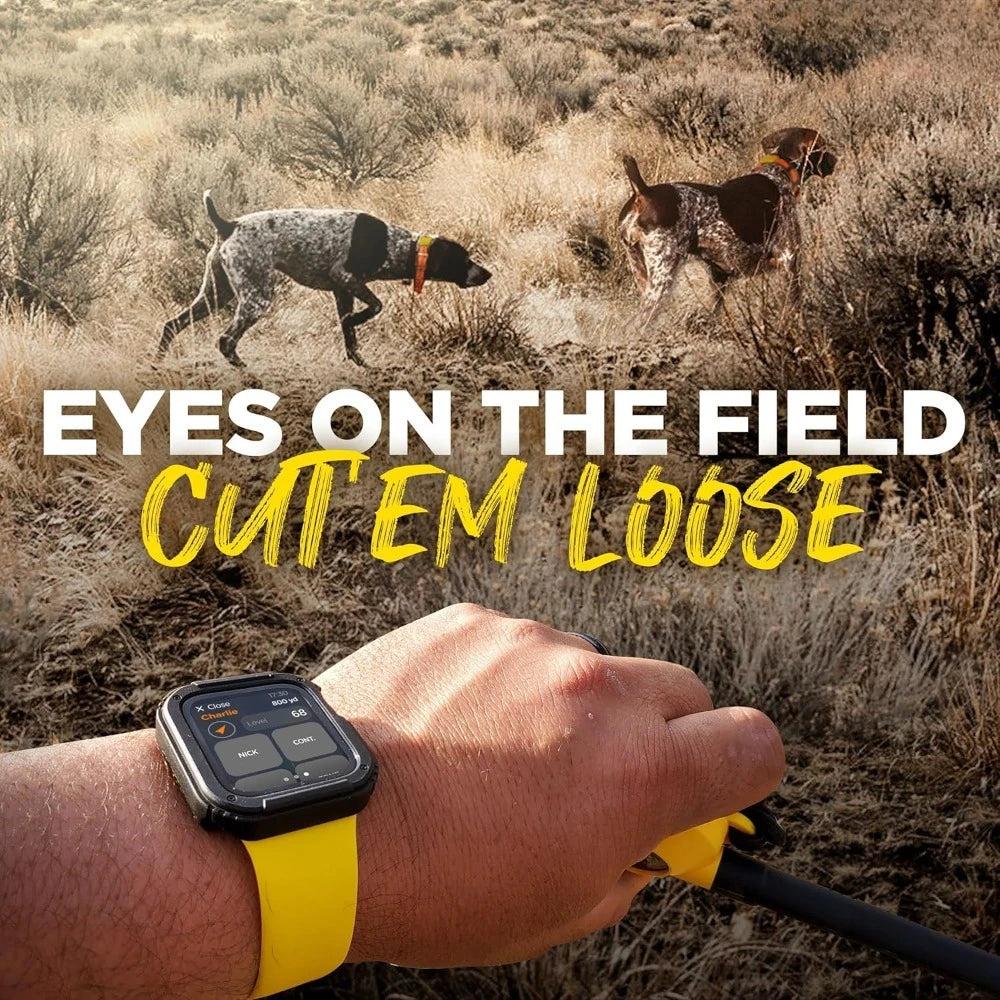 Hunting Ecollar GPS Dog Training Collar,Remote, 9 Mile Range, Tracking & Containment for big Dog