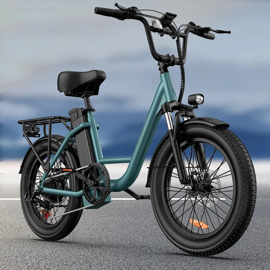 745W 20x3" Fat Tire Electric Bike 48V 13Ah Removable Battery 20MPH 7-Speed Gears Dual Disc Brakes