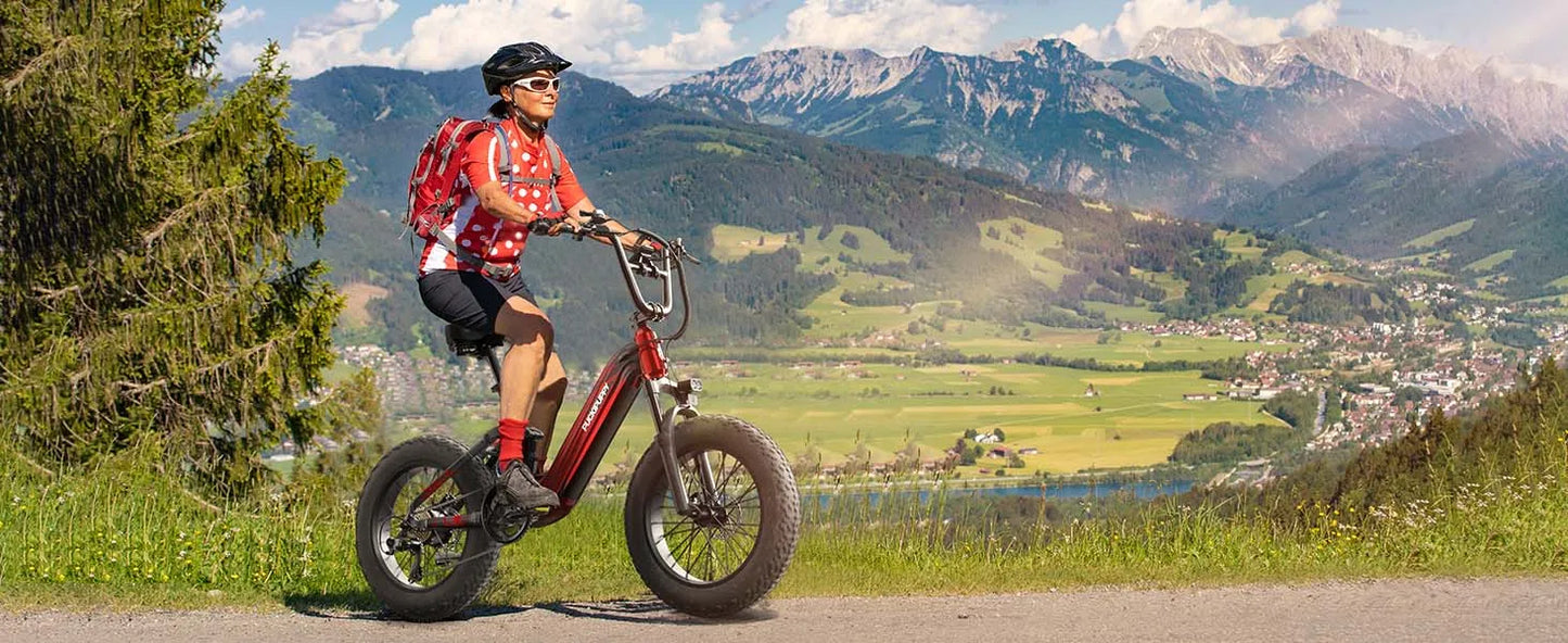 PUCKIPUPPY Corgi E-Bike Mountain20'' Fat Tire 960W 48V 20Ah Full Suspension, 2-Year Warranty