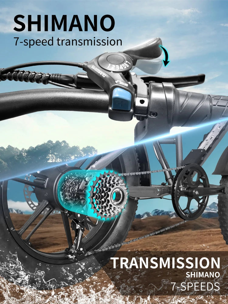 E-Bike QS7 1000W 48V 60AH 20 Inch Fat Tire, Adults Mountain Off-Road Dual Batteries E-Bicycle