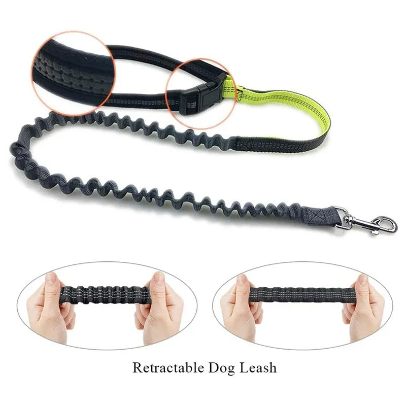 Hands Free Dog Leash with Zipper Pouch Reflective Bungee for Medium to Large Dogs Walking Jogging and Running