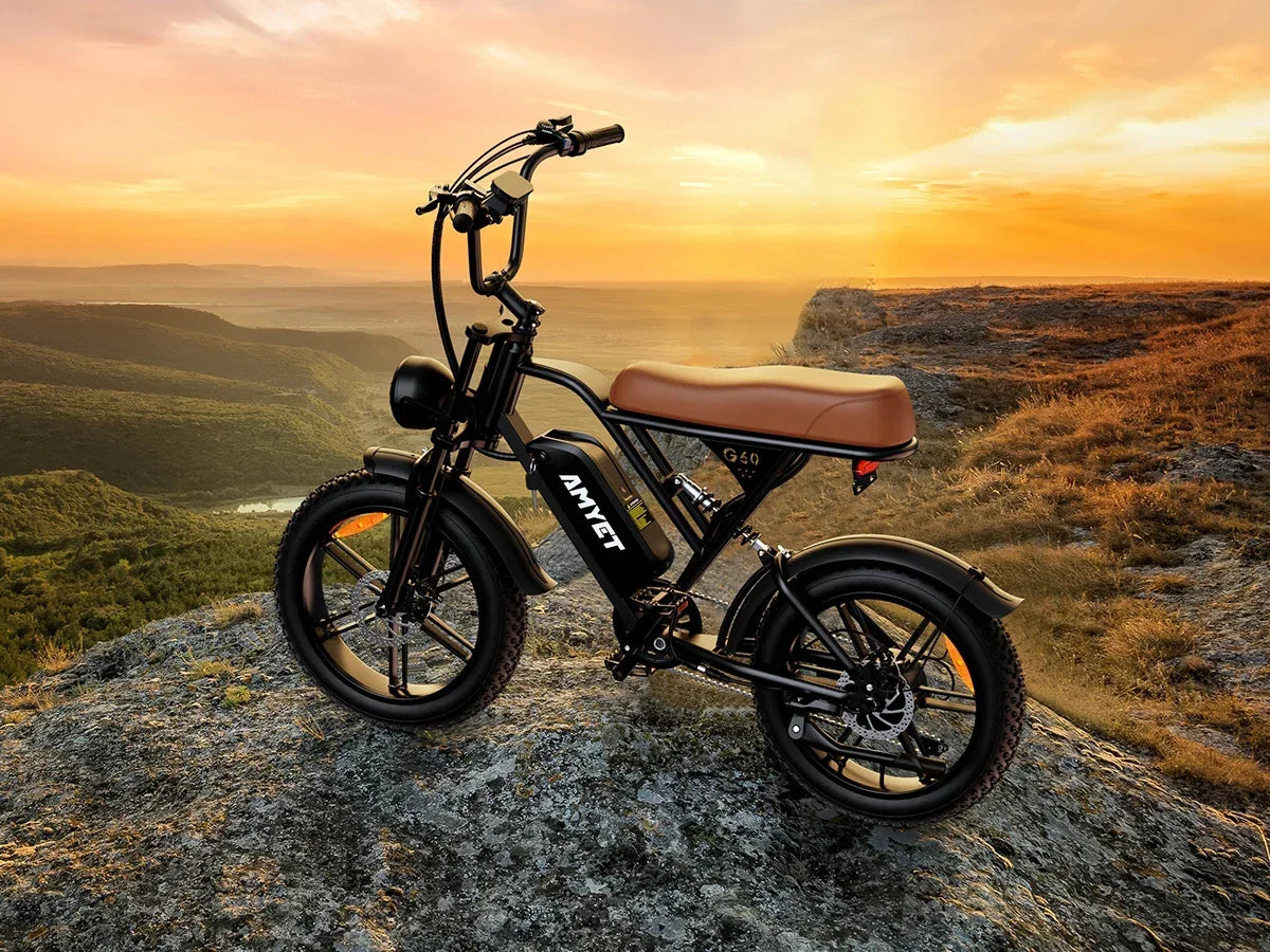 Ebike 2025 G60 Adult 1000W Powerful Motor, 48V 20AH Removable Battery, 20" All-Terrain Tires-