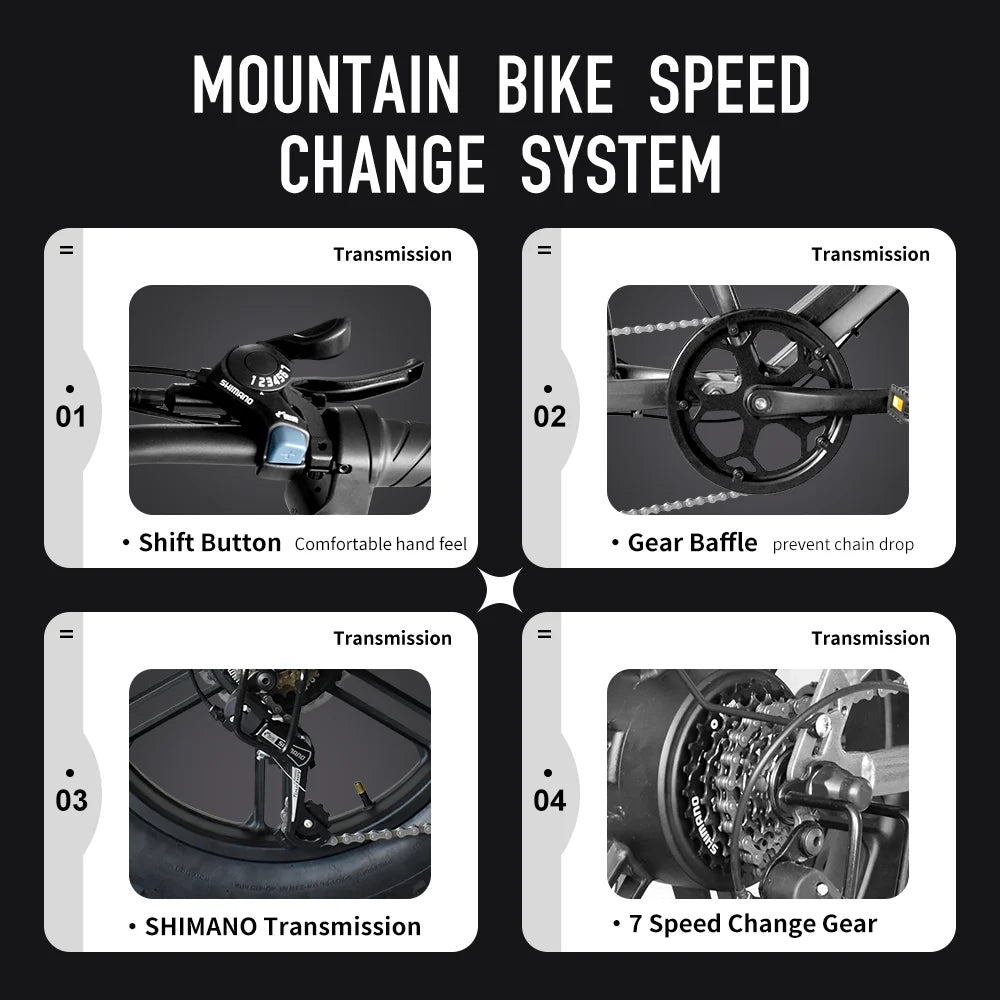 E-Bike QS7 1000W 48V 60AH 20 Inch Fat Tire, Adults Mountain Off-Road Dual Batteries E-Bicycle