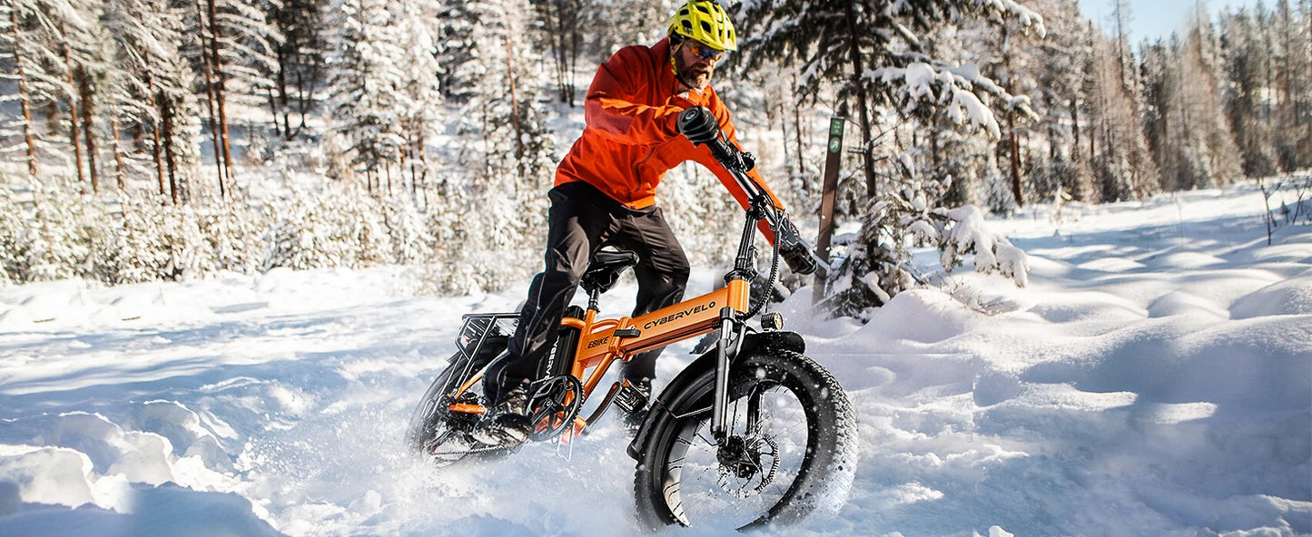 1000W Folding Electric Bike, 48V 20AH Large Removable Battery,30+MPH, 80 Mi Max Range, 20" Fat Tire