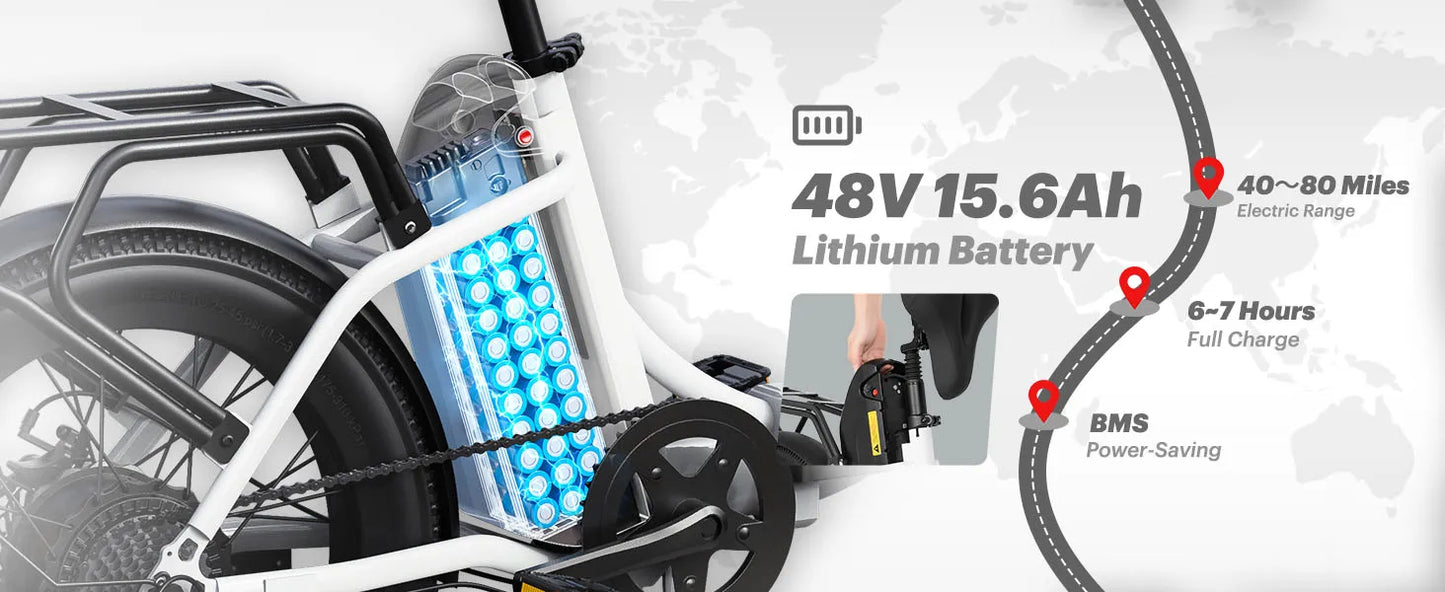 E-Bicycle Peak 1000W Motor 48V15.6AH Lithium Battery Hdraulic Brake 20*3.0 Inch Fat Tire