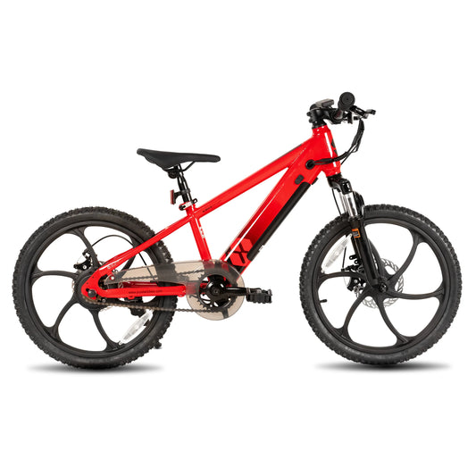 Electric Bike,  Kids Teens Ages 7+, 250W Motor, 15 Miles 15MPH Electric Mountain Bicycle Safe Mini