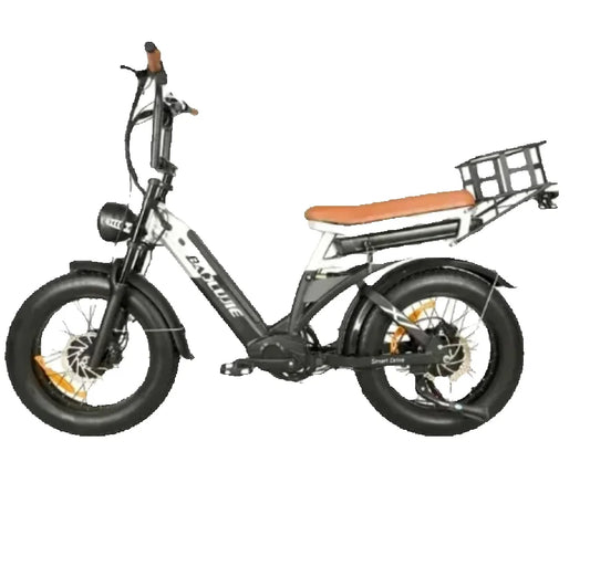 Electric bicycle  2000W  48V 30AH battery adult 20-inch tire Multi functional all terrain E-bike