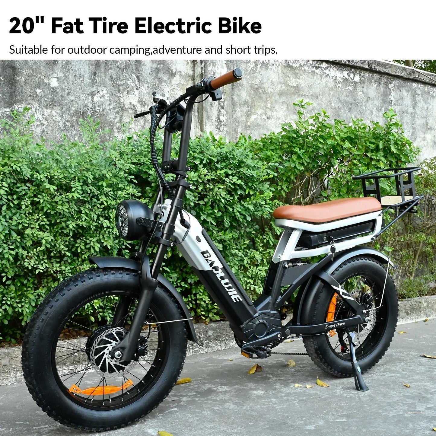 Electric bicycle  2000W  48V 30AH battery adult 20-inch tire Multi functional all terrain E-bike
