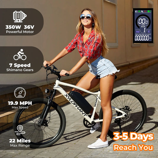 Racing electric bike - mountain lightweight, equipped,350W brushless motor, 360Wh detach battery,