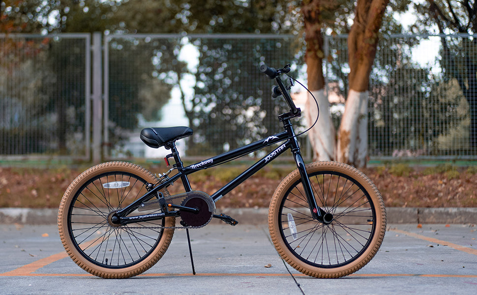 rockway Freestyle Kids BMX Bikes 6-14 Years Boys Girls and Beginner-Level Riders 2 Pegs
